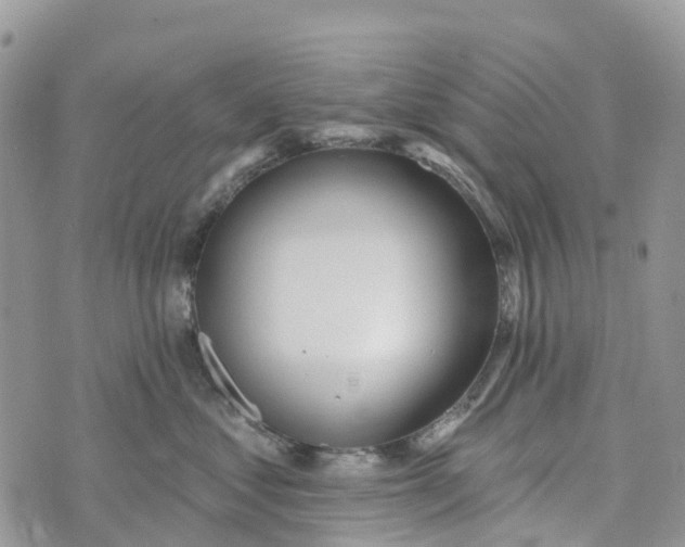 X0000072940621200608111602