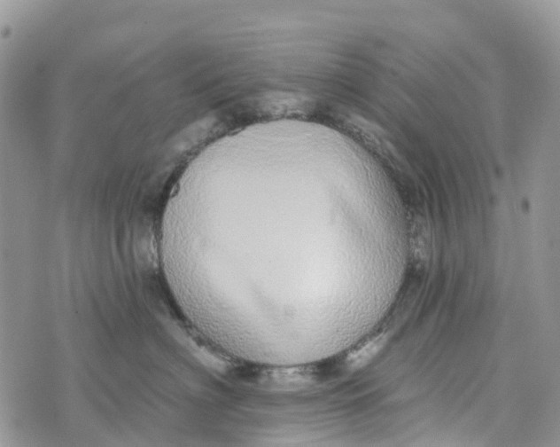 X0000072940622200608111602