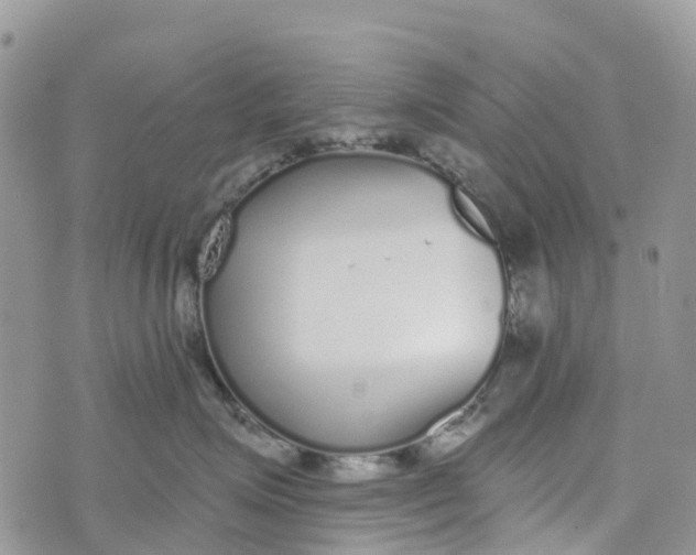 X0000072940623200608111602