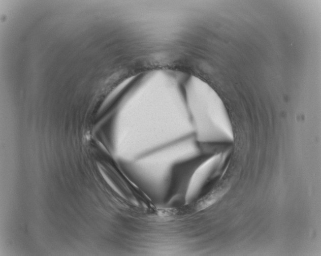 X0000072940624200608111602