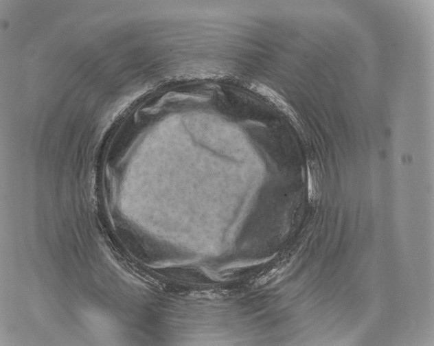 X0000072940627200608111601