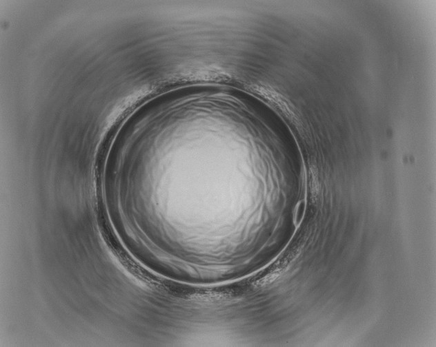 X0000072940630200608111601