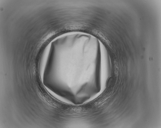 X0000072940631200608111601