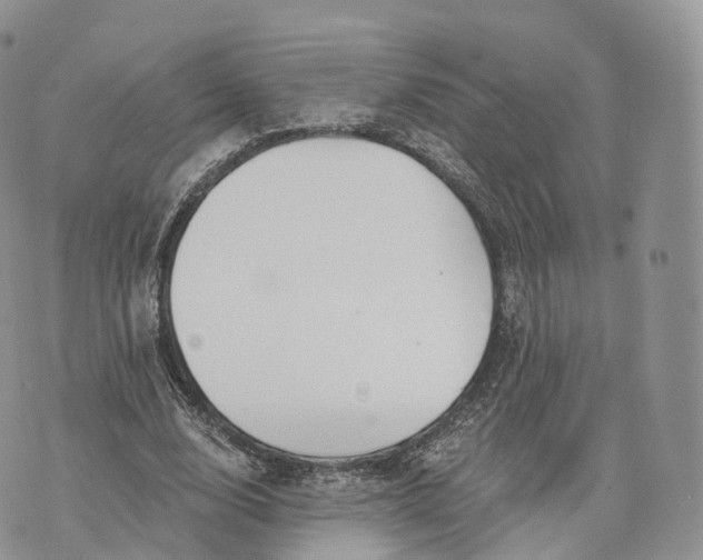 X0000072940632200608111601