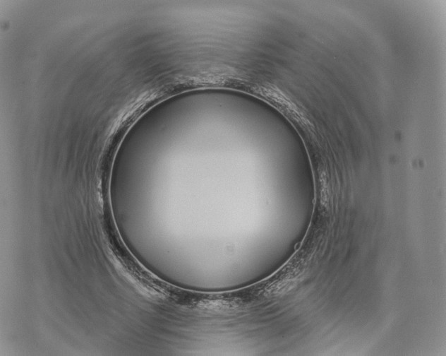 X0000072940634200608111601