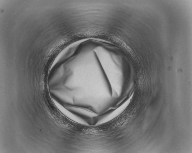 X0000072940635200608111601