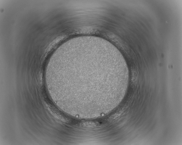 X0000072940636200608111601