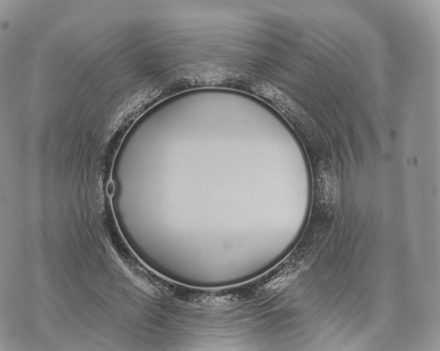 X0000072940638200608111601