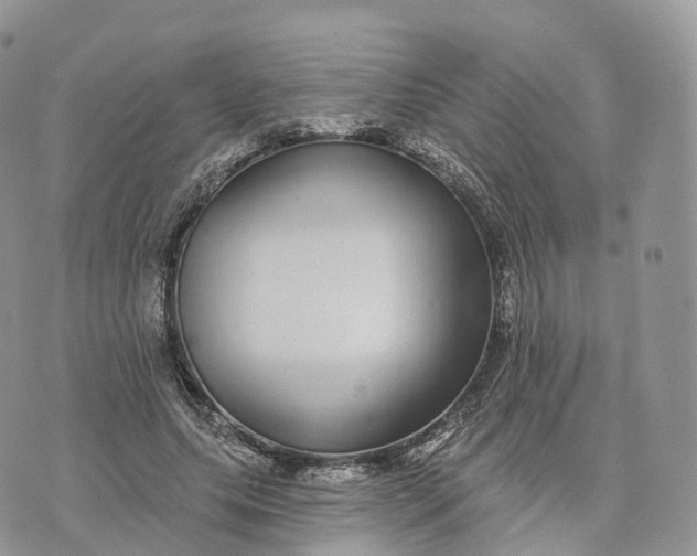 X0000072940639200608111601