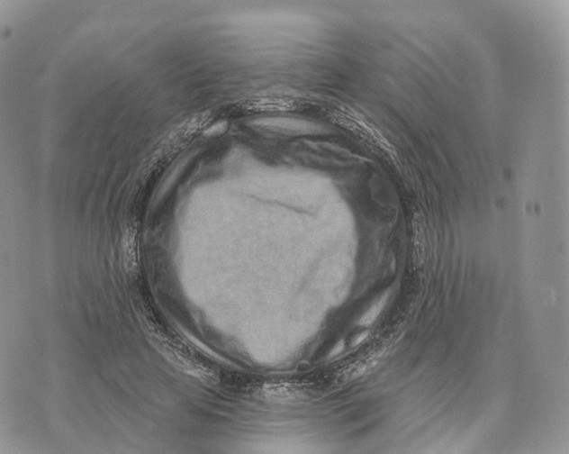 X0000072940641200608111601