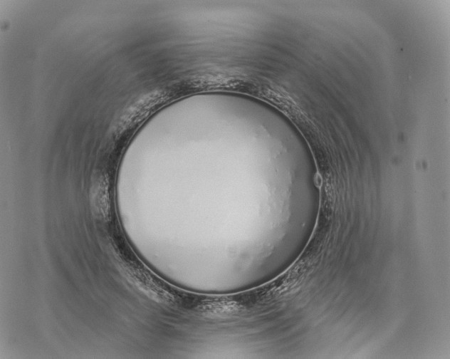 X0000072940642200608111601