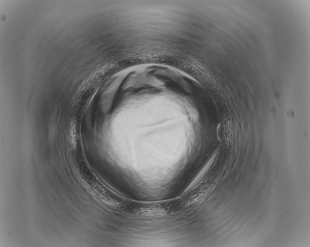 X0000072940644200608111601