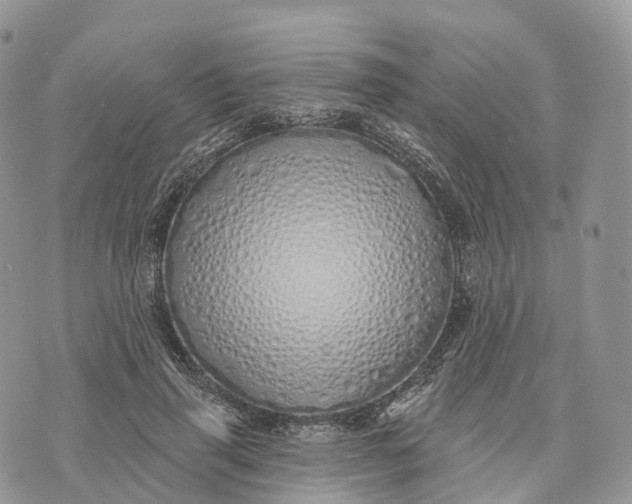 X0000072940645200608111601