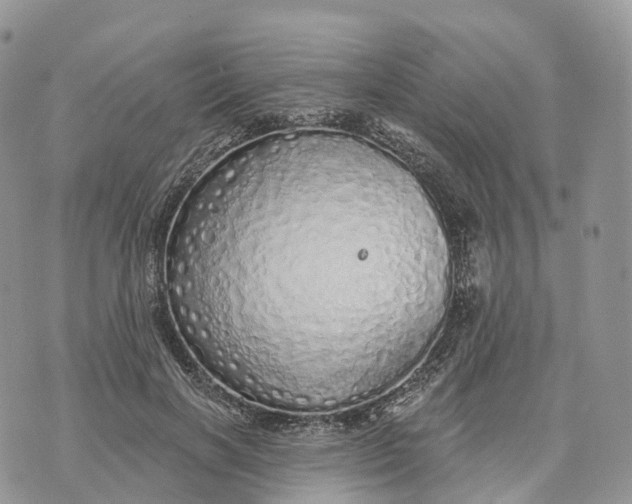 X0000072940646200608111601