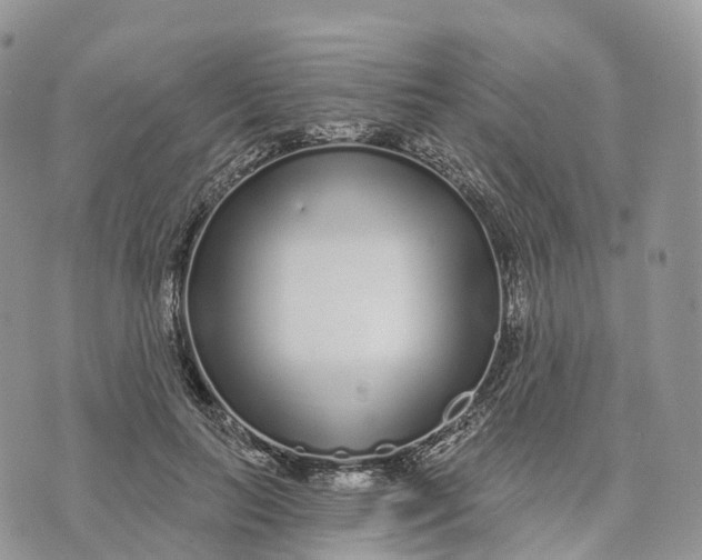 X0000072940647200608111601