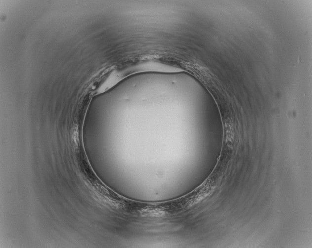 X0000072940648200608111601