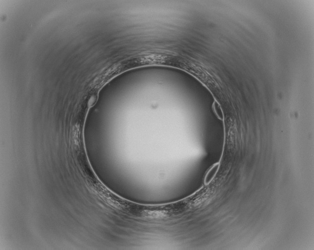 X0000072940649200608111601