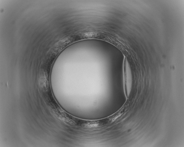 X0000072940651200608111601