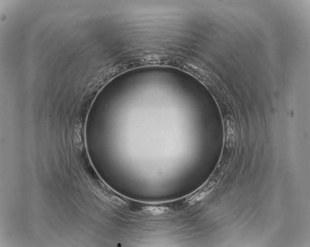 X0000072940654200608111601