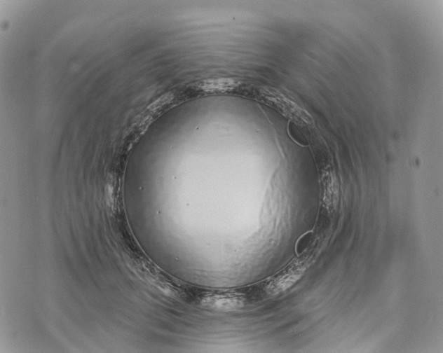 X0000072940655200608111601