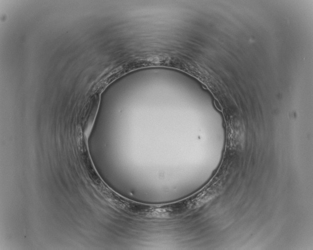 X0000072940656200608111602