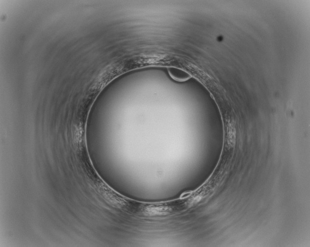 X0000072940657200608111602