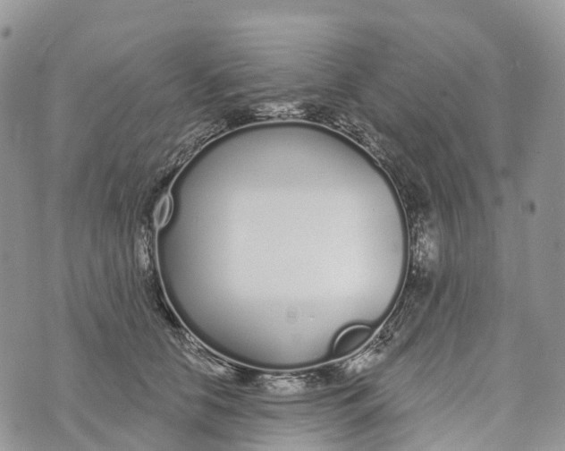 X0000072940658200608111602