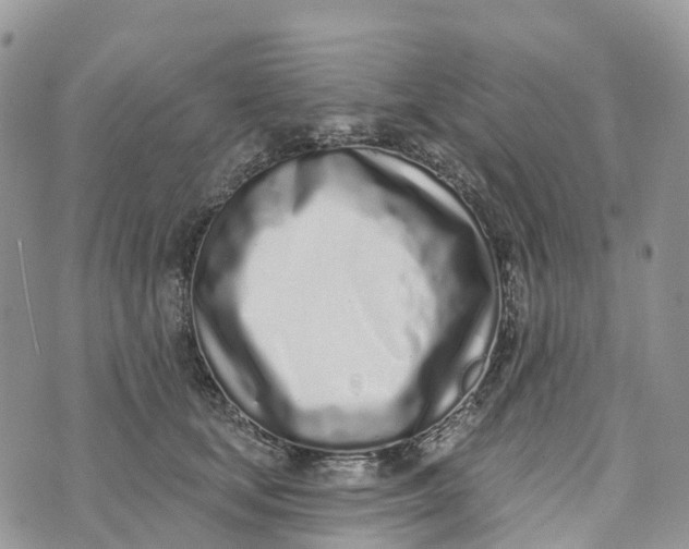 X0000072940659200608111602