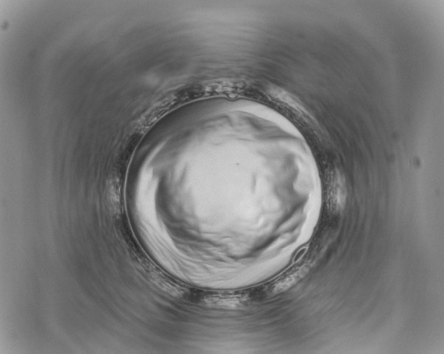 X0000072940661200608111602