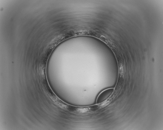 X0000072940662200608111602