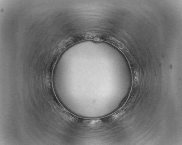 X0000072940663200608111602