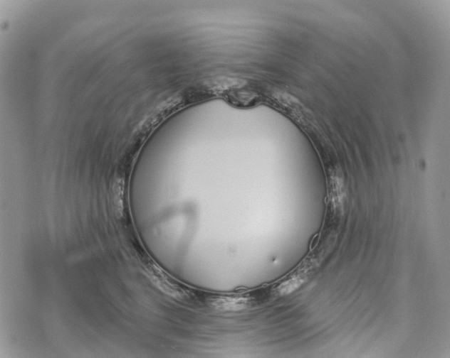 X0000072940664200608111602