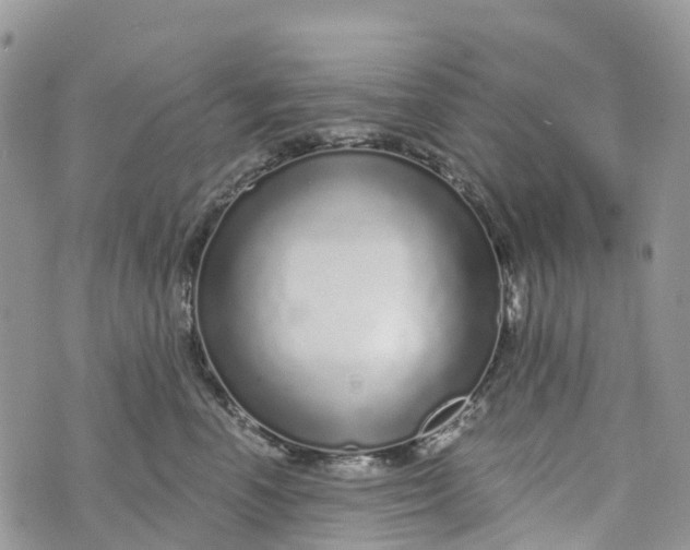 X0000072940666200608111602