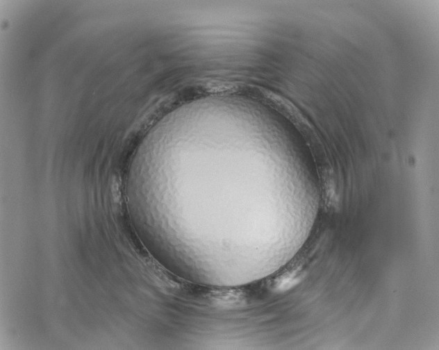 X0000072940667200608111602