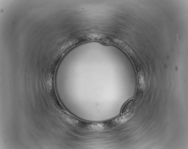 X0000072940668200608111602