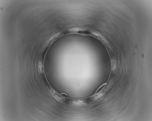 X0000072940669200608111602