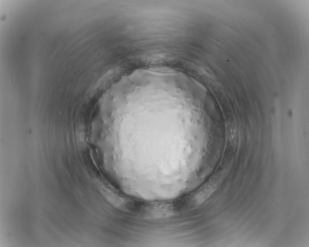 X0000072940670200608111602