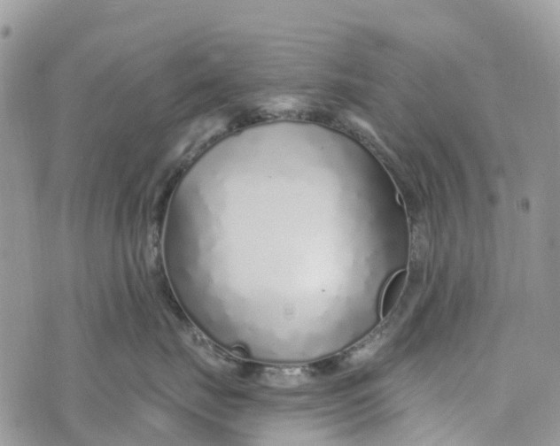 X0000072940671200608111602