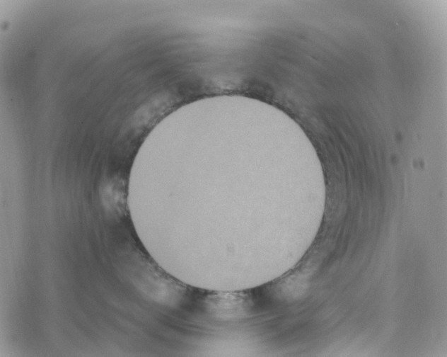 X0000072940672200608111602