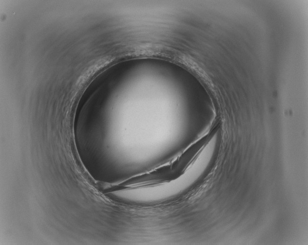 X0000072940673200608111601