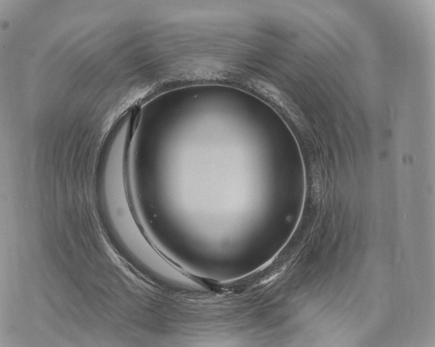 X0000072940677200608111601