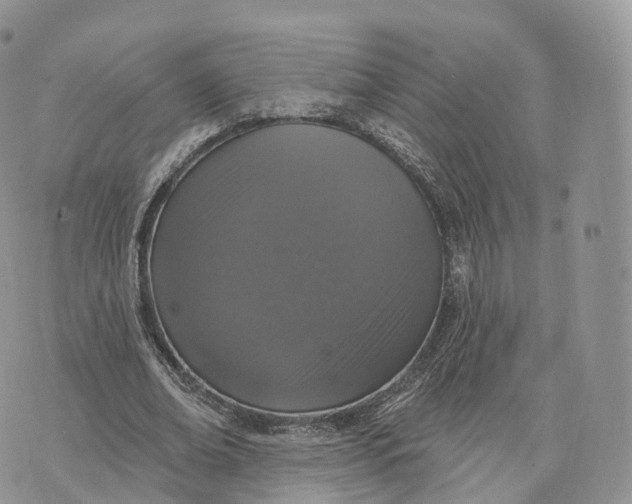 X0000072940678200608111601