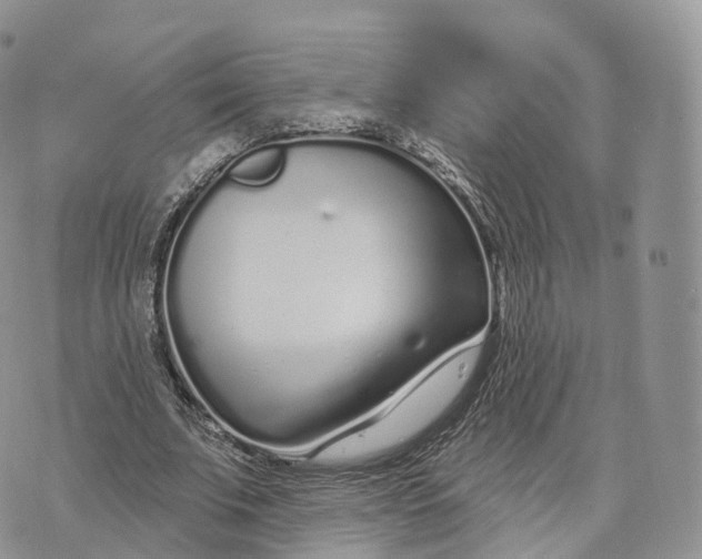 X0000072940679200608111601