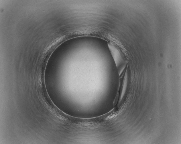 X0000072940681200608111601