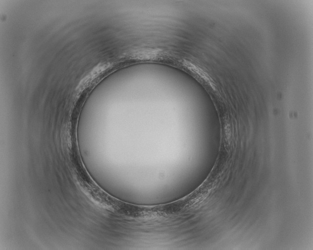 X0000072940682200608111601