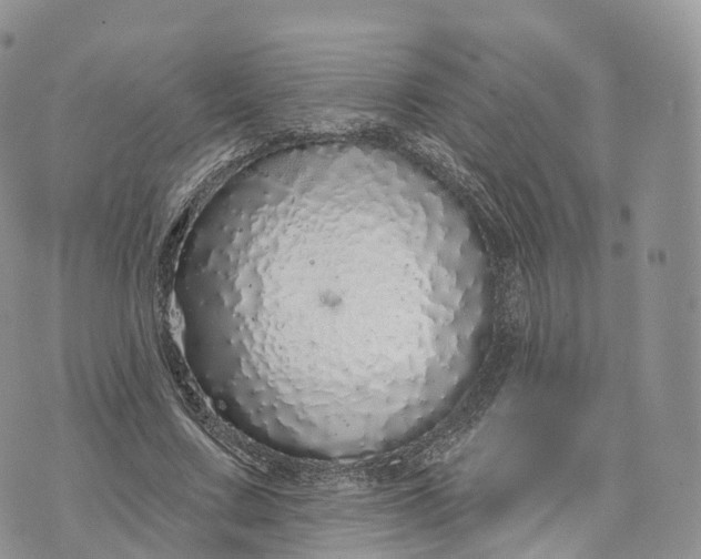 X0000072940683200608111601