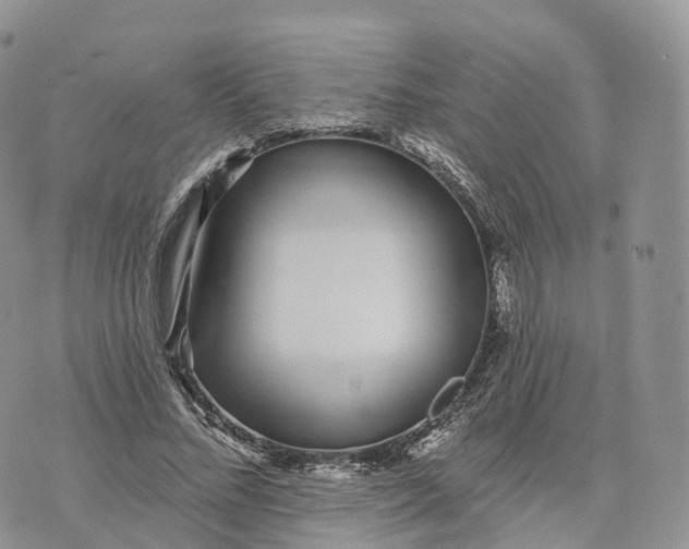 X0000072940684200608111601