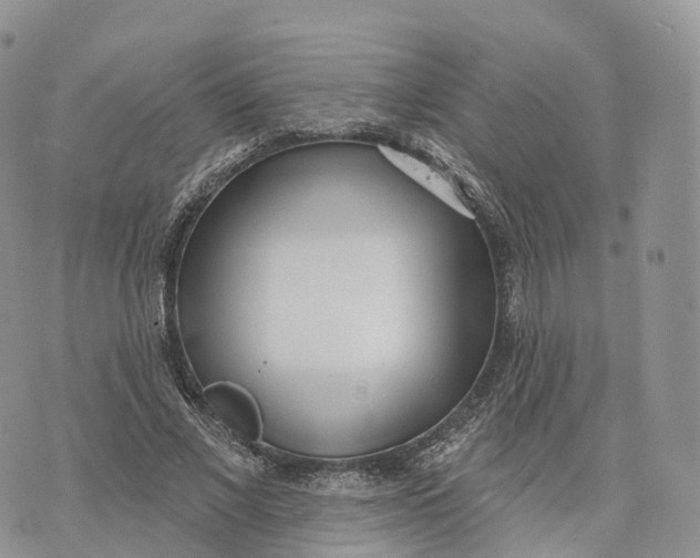 X0000072940685200608111601