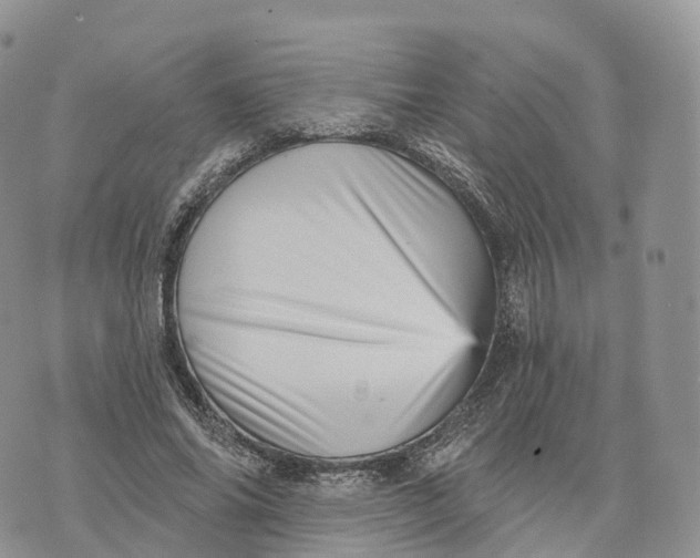 X0000072940686200608111601