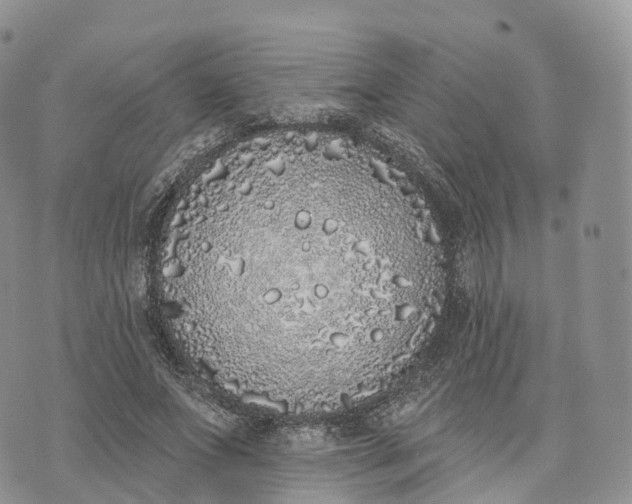 X0000072940687200608111601